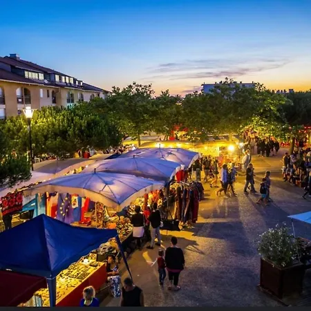 Cosy Au Porte De L Ocean Biscarrosse