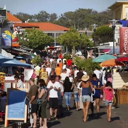 Cosy Au Porte De L Ocean Biscarrosse