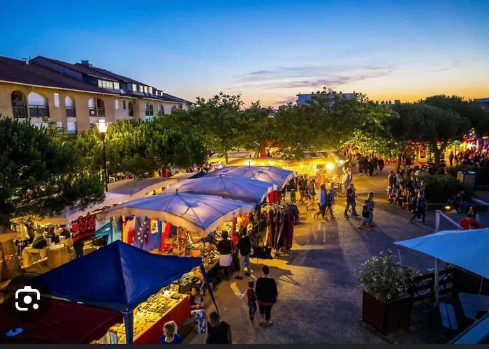 Cosy Au Porte De L Ocean Biscarrosse