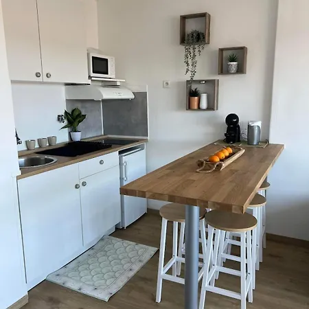 Cosy Au Porte De L Ocean דירה ביסקארוס