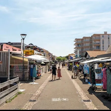 Cosy Au Porte De L Ocean ביסקארוס