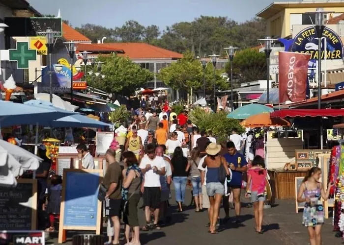 Cosy Au Porte De L Ocean بيسكاروس